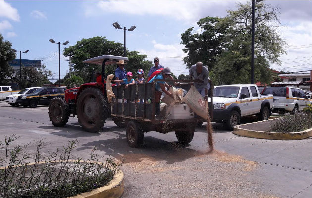 Arroceros Regresar N A Las Calles Por Falta De Apoyo D A A D A