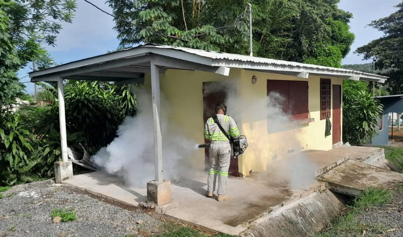 Siguen aumentando los casos de dengue en Panamá Oeste 