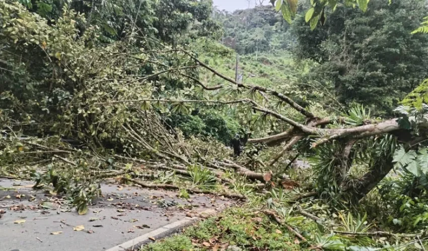 Foto: Ministerio de Seguridad. 