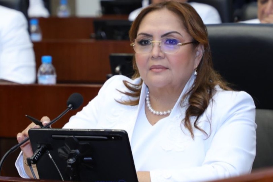 Eligen a Dana Castañeda como la nueva presidenta de la Asamblea Nacional 