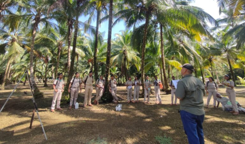 Organizan capacitación en campo sobre el control del picudo negro de la palma en Colón 