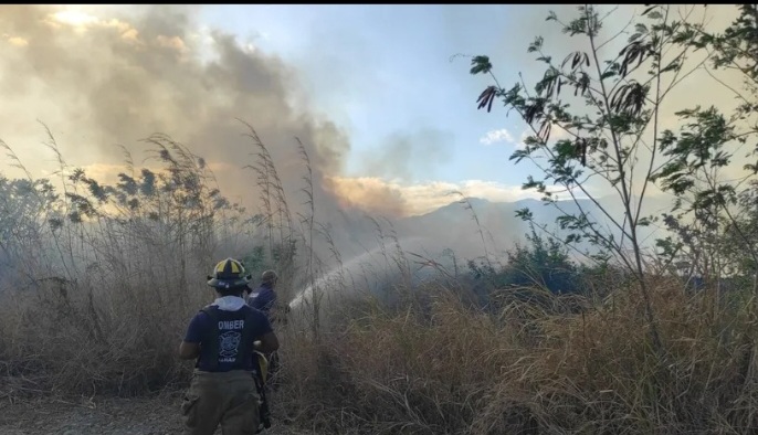 Bomberos panameños se capacitan para combatir incendios forestales en en el país 