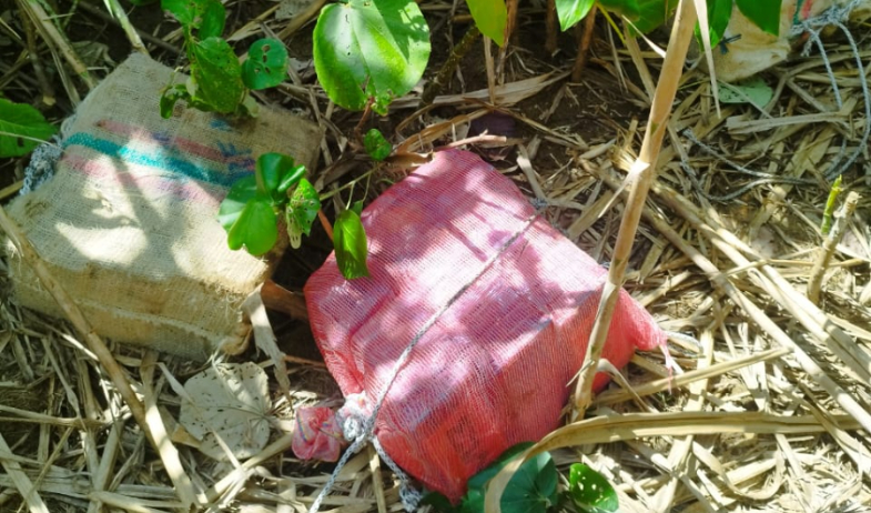 ¡Que pocotón! Descubren 'caleto' en la Costa Arriba de Colón 