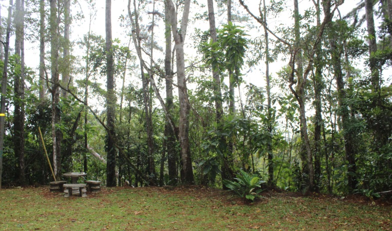 Invertirán en la recuperación del Parque Nacional Campana 