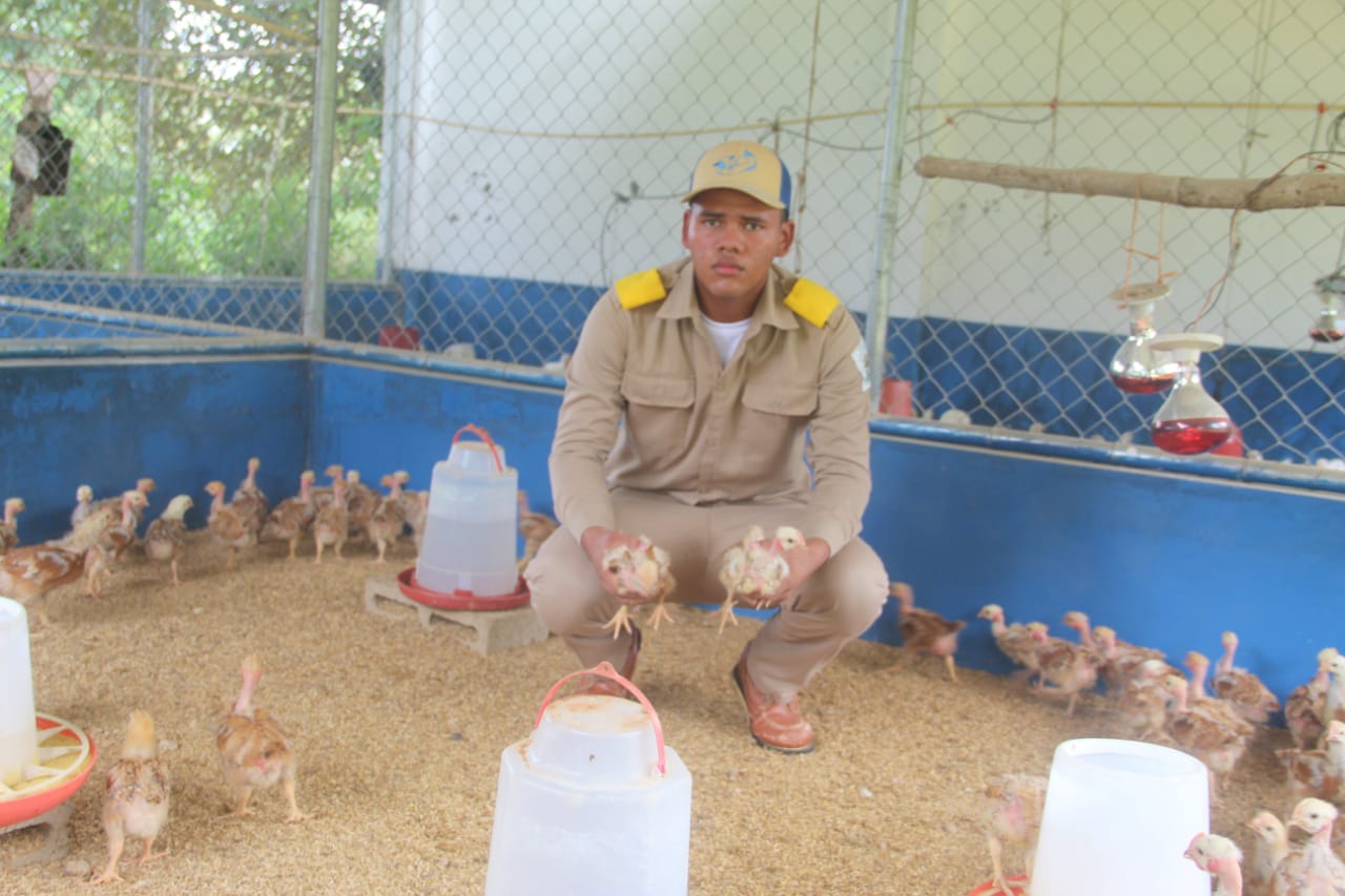 IPT Los Llanos de Ocú lidera producción y formación de bachilleres agropecuarios en Herrera 