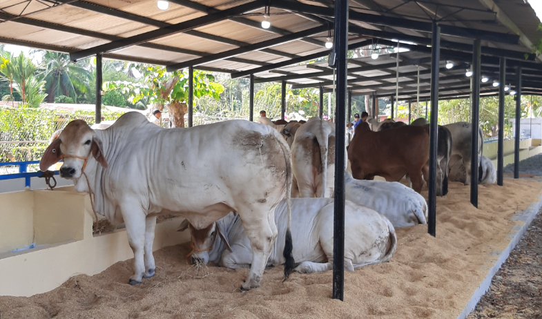 Productores de leche piden acercamiento con autoridades 