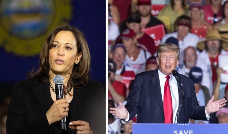 El duelo Trump-Harris daña la salud mental: el 70 % de estadounidenses tiene estrés electoral 