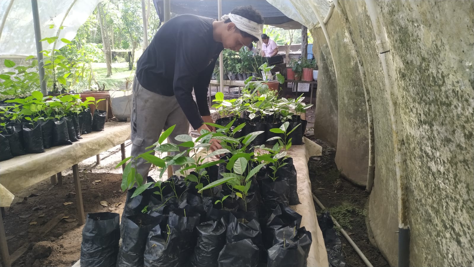 ¡Trabajando la tierra y produciendo! Centro Educativo Monte Oscuro desarrolla su visión en el sector agro 