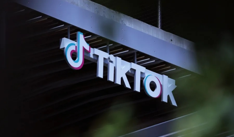 TikTok pide paralizar la ley que podría prohibirla en EE.UU. hasta que llegue Trump 