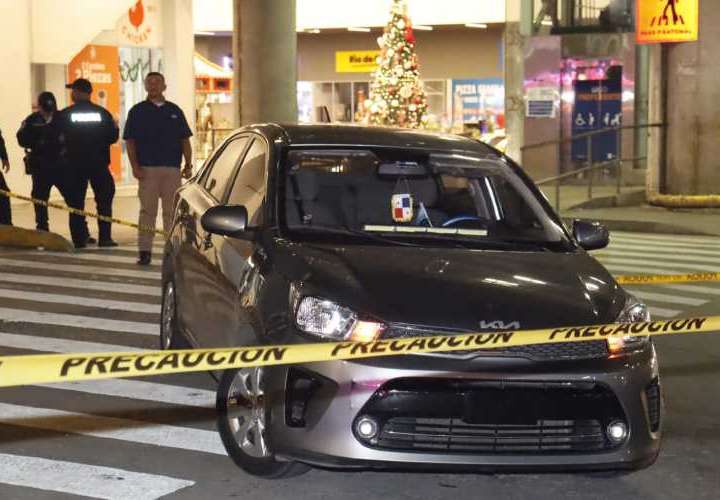 Asesinan a lince cerca de la estación del Metro en San Isidro 