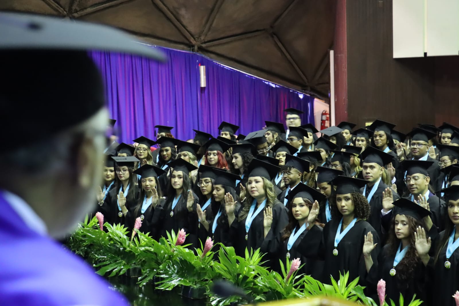 Reportan 13 mil graduandos en la Universidad de Panamá como parte de la promoción 2023-2024 