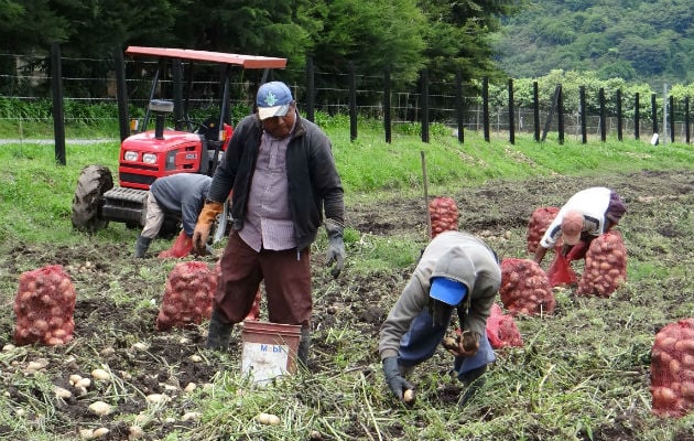 Banco de Desarrollo Agropecuario denuncia lesión patrimonial por más de 6 millones de dólares 