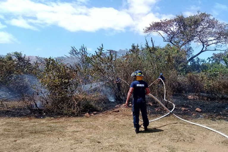 Estiman que incendios en más de 60 mil hectáreas han dejado $54 millones en pérdidas 