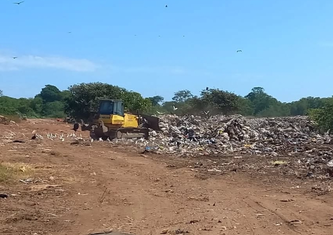 Lanzan campaña de recolección de arbolitos navideños para prevenir incendios en el vertedero de Chitré 