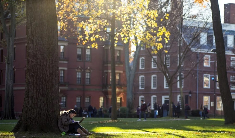Una jueza bloquea temporalmente la decisión del Gobierno Trump que impide a Harvard matricular extranjeros 