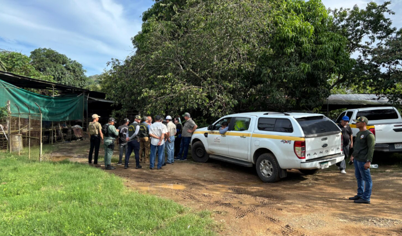 Suspenden operaciones de porquerizas por daño ambiental en el río La Villa 