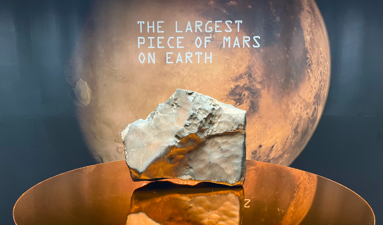 El meteorito más grande de Marte jamás hallado… ¡vendido por millones! 