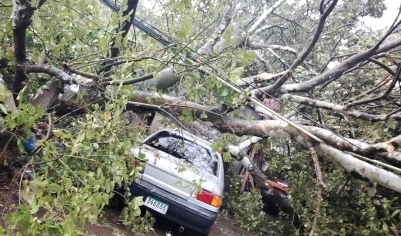 Autoridades reportan normalización progresiva tras fuerte temporal en la provincia de Los Santos 
