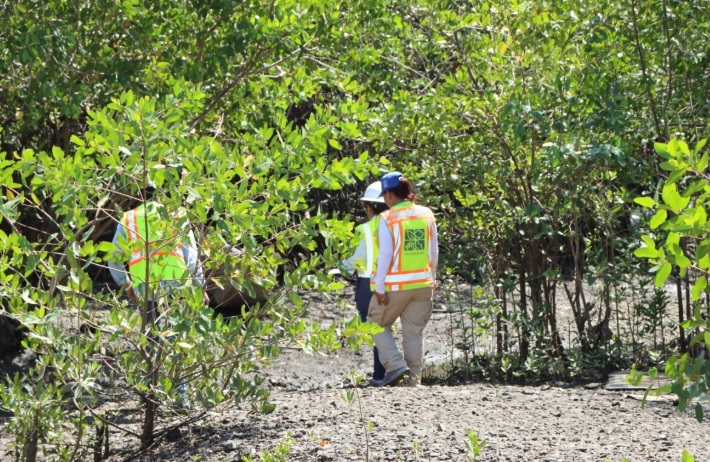 Cierran vertedero en Chame por daños ambientales, desechos son llevados a La Chorrera 