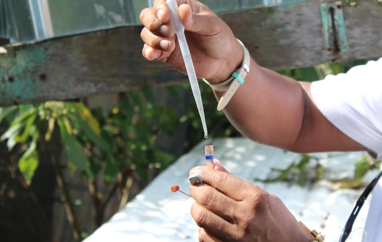 Minsa registra  6,458 casos acumulados de dengue a nivel nacional 