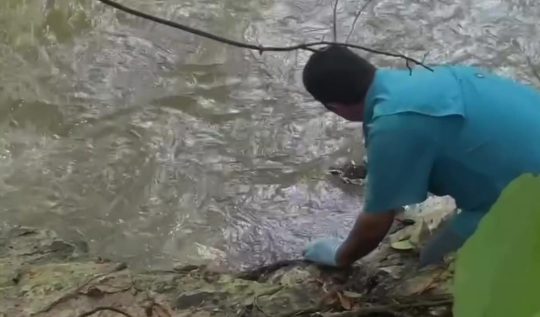 MIDA no detecta plaguicidas en agua del río Caimito en Panamá Oeste 