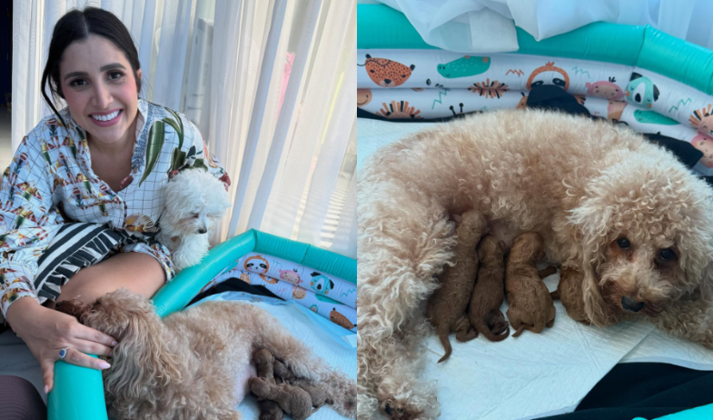 Katleen Levy recalca que no venderá lo cachorros de su perrita y recuerda su lucha contra el maltrato animal  