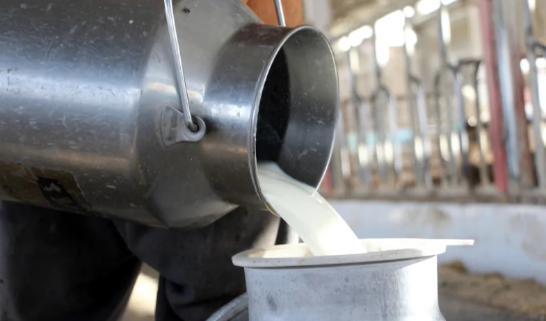 Presidente Mulino: 'Si no compran leche nacional, no importarán leche extranjera' 