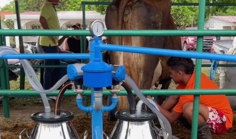 Sí habrá Feria Nacional del Ganado Lechero en Monagrillo  