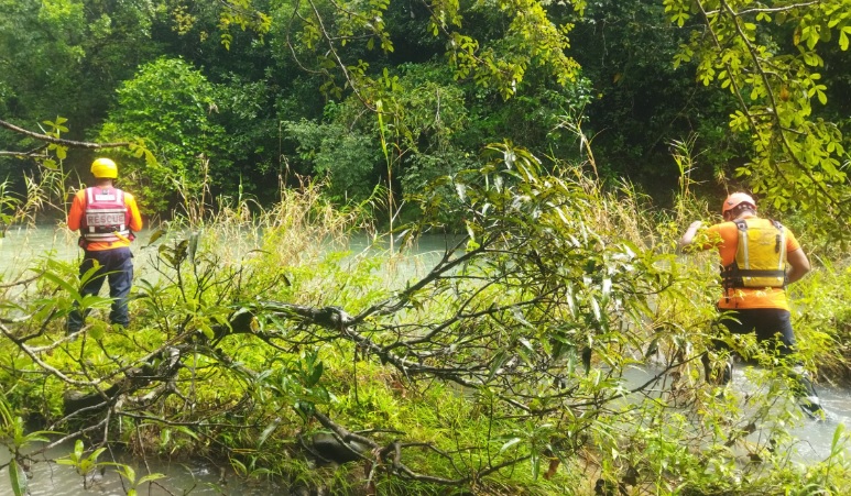 Buscan a turista desparecido en 'La Tortuga' de Cabuya en Antón 