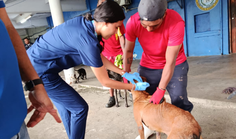 Brindan atención veterinaria a mascotas del Centro de Rehabilitación Nueva Esperanza 