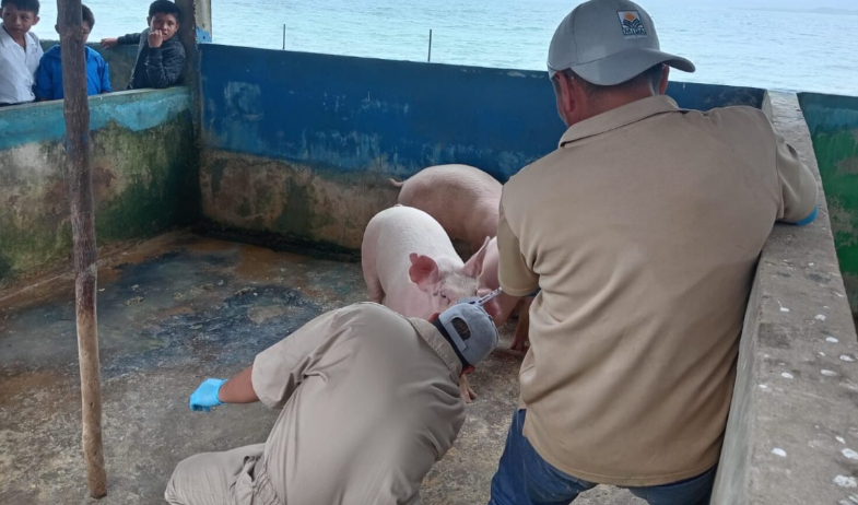 MIDA intensifica vigilancia epidemiológica en la comarca Guna Yala 