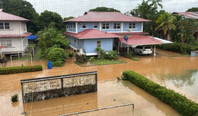 Lluvias dejan árboles caídos e inundaciones en varios sectores de Colón 