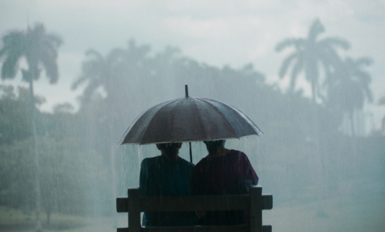 El festival suizo FILMAR premia al cine panameño en su edición de 2025 