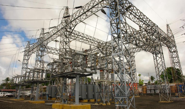 OER respalda regulación  de siembra de árboles para reducir apagones eléctricos 