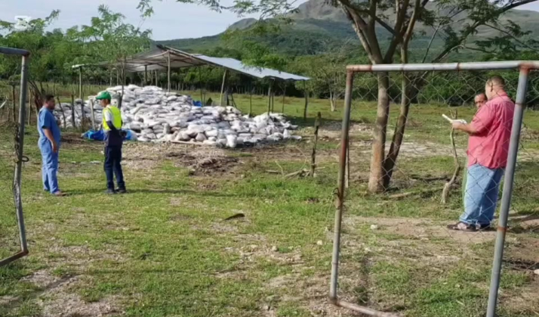 Cierran temporalmente criadero de aves en Coclé tras denuncia por malos olores  