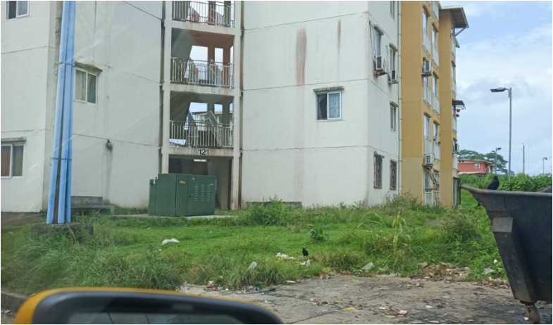 Muere adolescente de 16 años tras recibir disparo en Altos de Los Lagos 