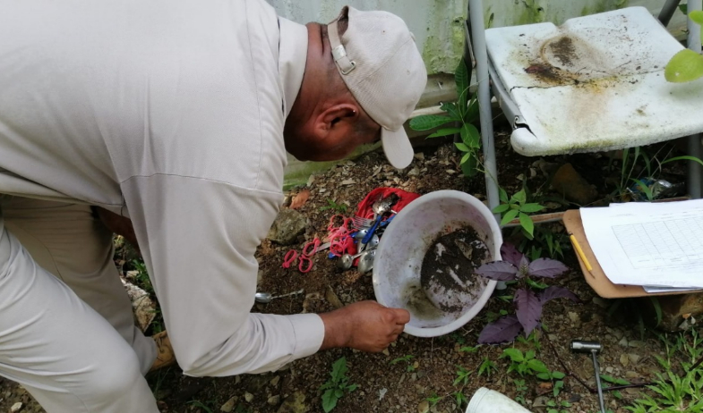 Dengue en Panamá: 14,349 contagios y 24 muertes hasta noviembre  