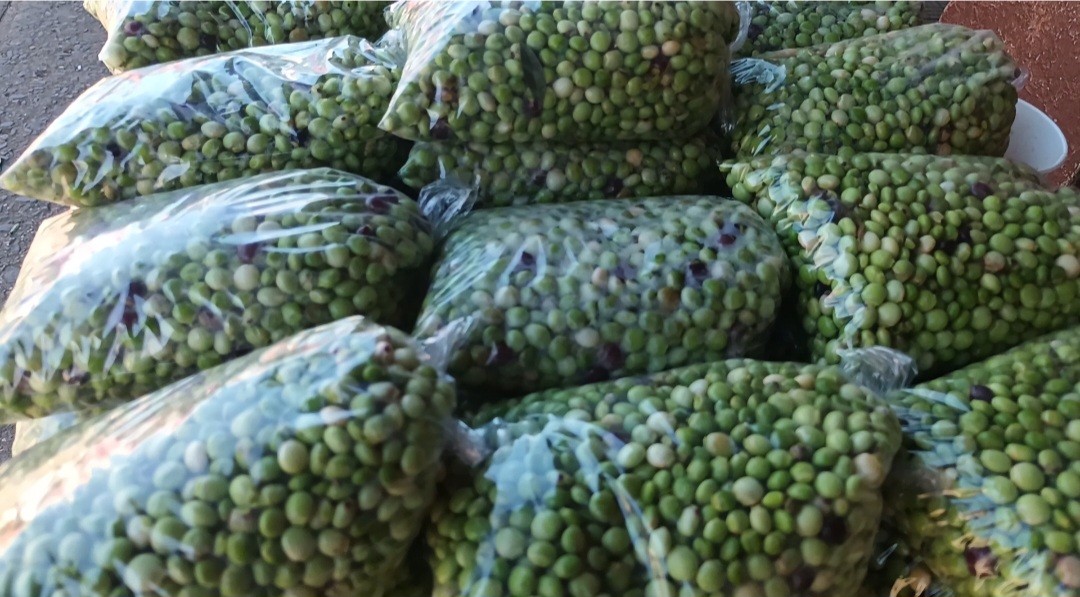 Ventas de guandú se movilizan en el mercado de Santiago ante las fiestas de fin de año 