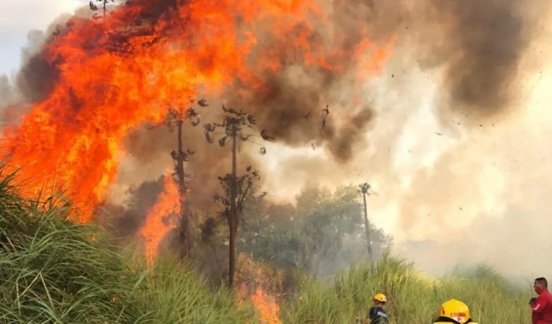 Bomberos atendieron más de 28 mil emergencias durante el 2025 en el país   