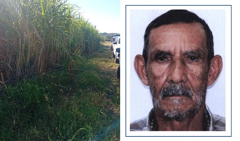 Encuentran sin vida a adulto mayor reportado como desaparecido en Santiago 