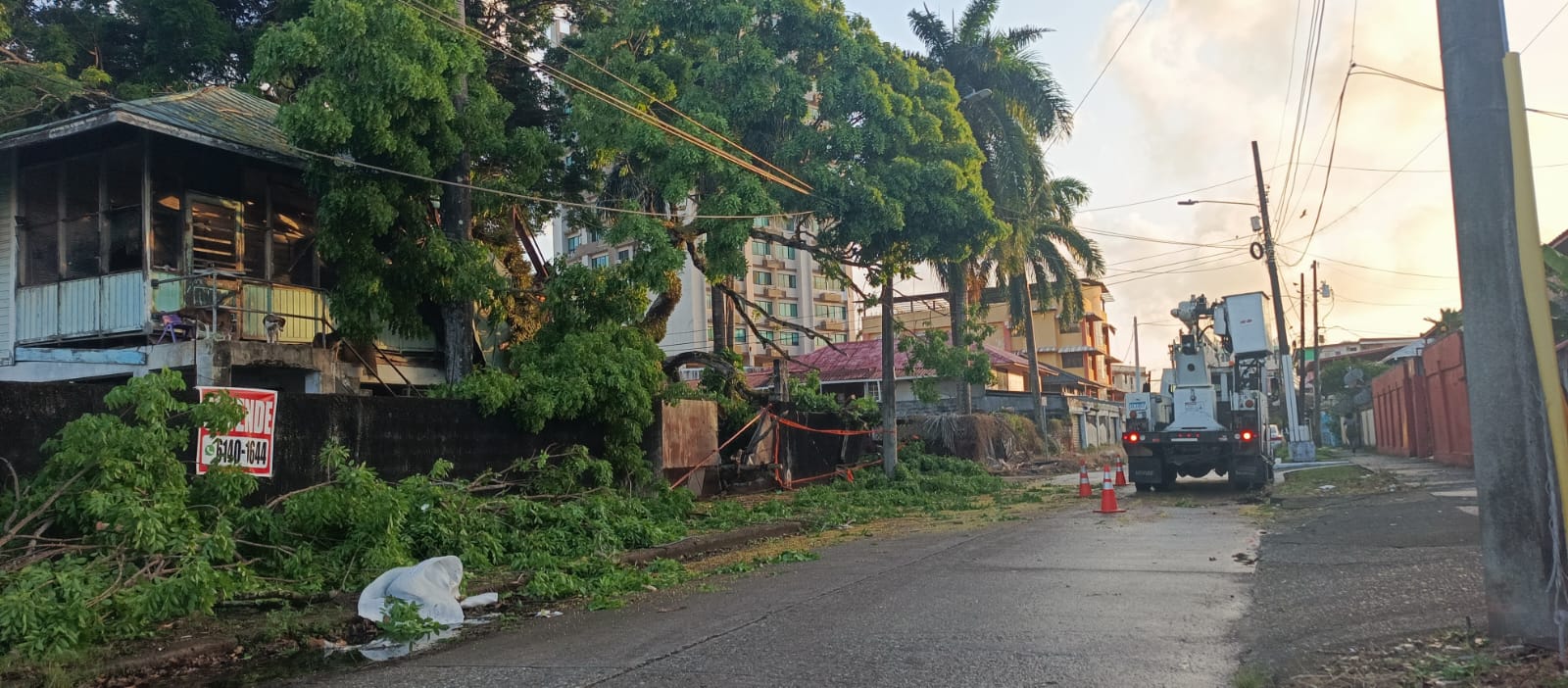Fuertes vientos provocan caída de árbol sobre una casa en Colón 