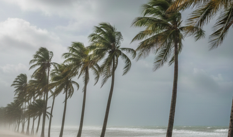 ¡Caribe y Pacífico bajo vigilancia! Sinaproc e IMHPA emiten aviso por vientos 