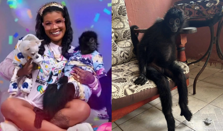 '¡ME LA MATARON!' Carlienis estalla contra MiAmbiente tras fallecimiento de su mona Karol 