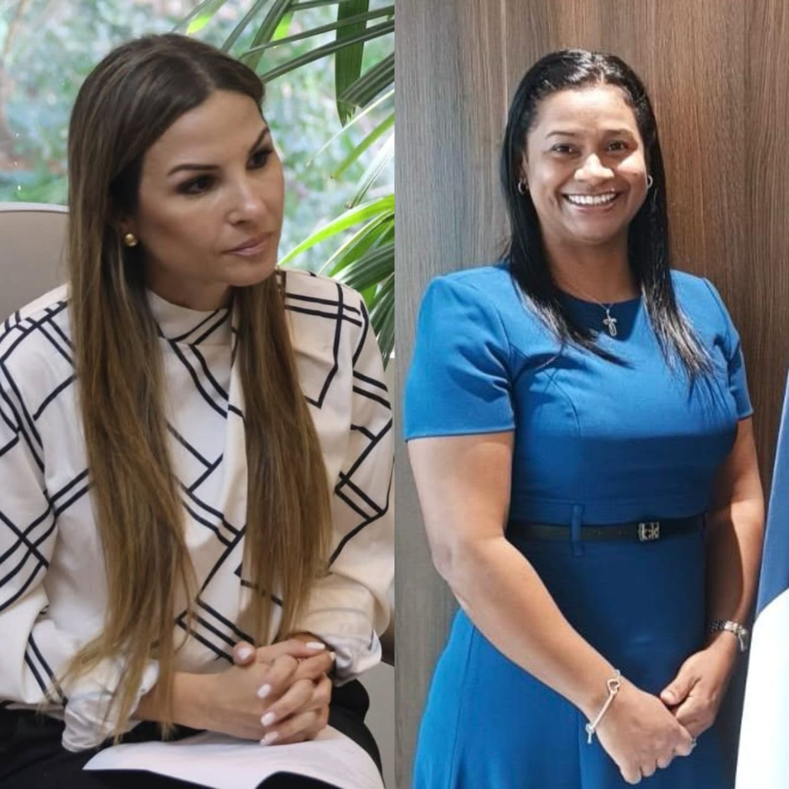 Ana Fábrega renuncia a la Senniaf y Otilia Rodríguez asume la dirección 