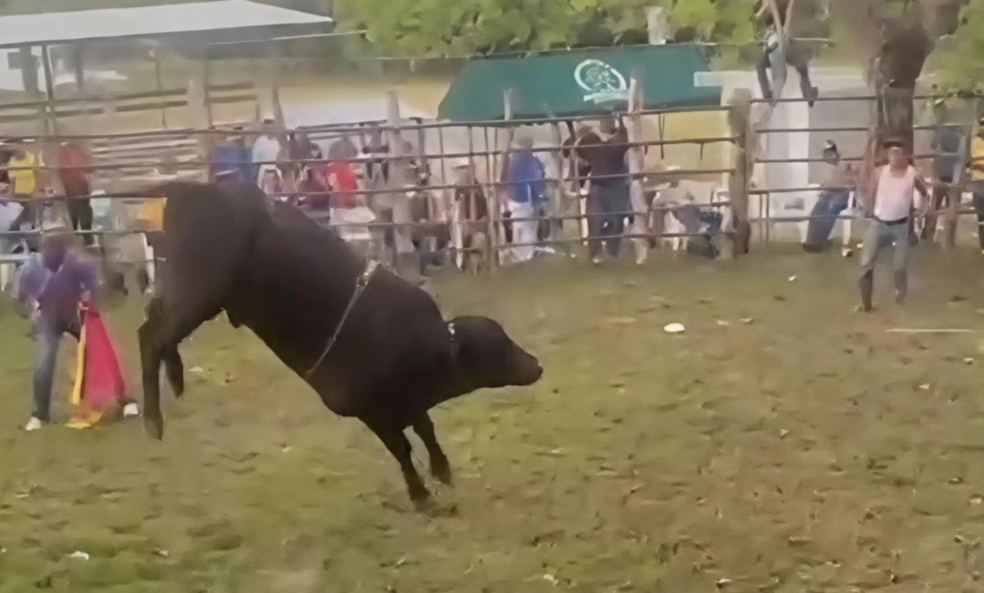 Tragedia, muere menor de edad en monta de toros en Herrera 