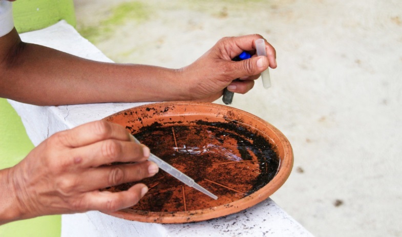 Panamá acumula 1,390 casos de dengue y cuatro defunciones 