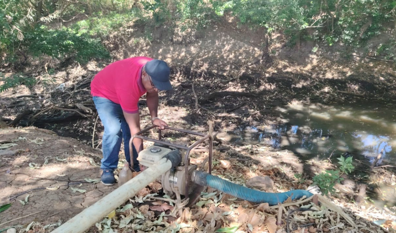 Sequía pone en riesgo cultivos en El Caño, Natá 