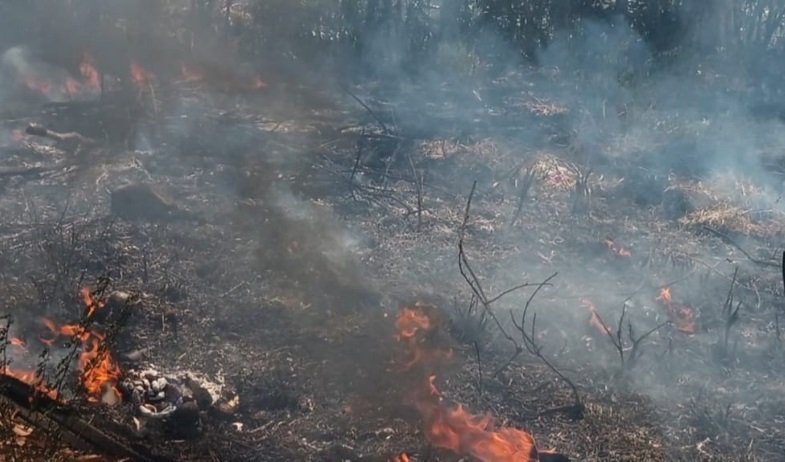Quemas de masa vegetal en Veraguas generan alarma por impacto ambiental y en la salud 