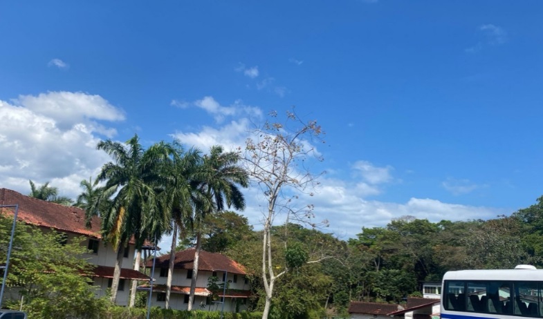 Aviso de Prevención Altas temperaturas y sensación térmica elevada 