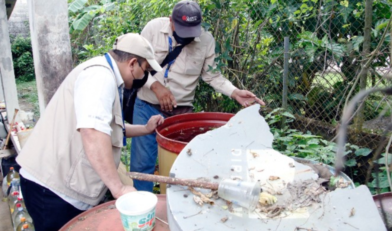 Panamá acumula 1,523 casos de dengue en este 2026  